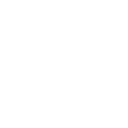 55ww icon