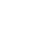 55ww icon